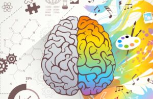 energía y cerebro