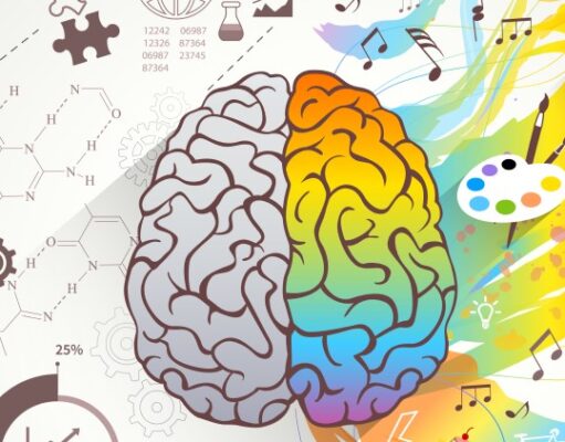 energía y cerebro