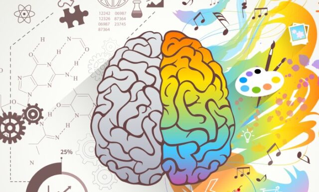 energía y cerebro