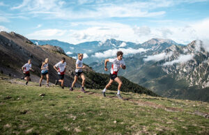 Salomon Next Gen Project