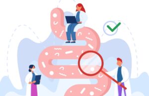 microbiota intestinal
