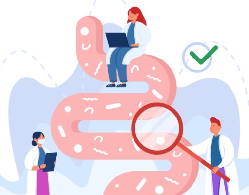 microbiota intestinal