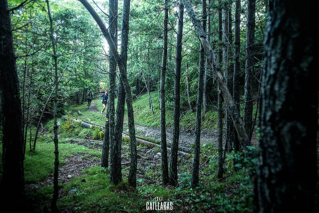 trail catllaràs by brooks
