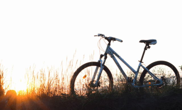 phpIlgHkA648c75dea2ac0