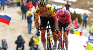 roglic jumbo