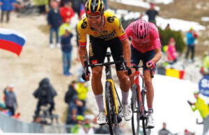 roglic jumbo
