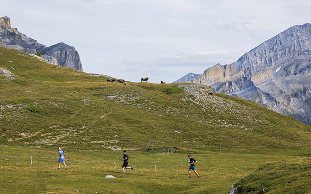 wildstrubel utmb 2023