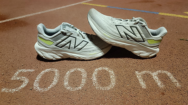 Review New Balance Fresh Foam 1080 v13
