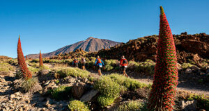 Tenerife Bluetrail by UTMB