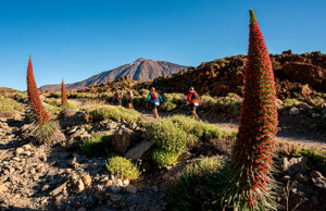 Tenerife Bluetrail by UTMB