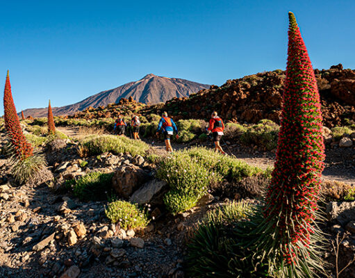 Tenerife Bluetrail by UTMB