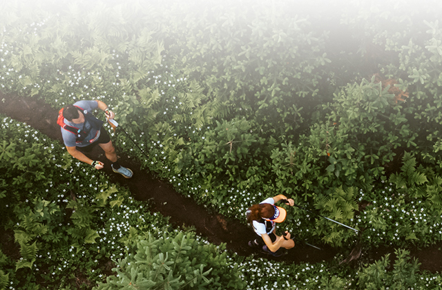 World Trail Majors