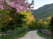 BTT por los cañones del Ebro en Burgos