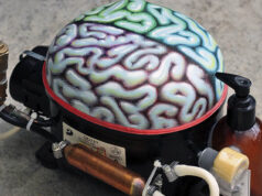 hábitos para cuidar cerebro