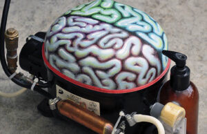 hábitos para cuidar cerebro