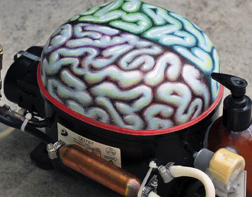 hábitos para cuidar cerebro