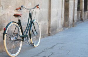 bici holandesa
