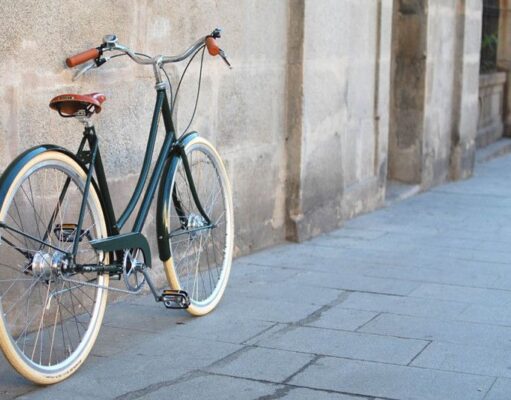 bici holandesa