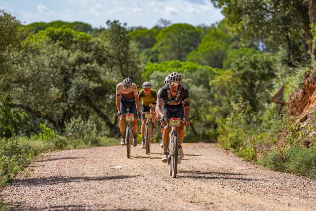 53213562386_2ae688fcee_h