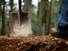 SHIMANO Trail Born Fund