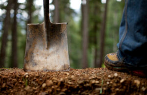 SHIMANO Trail Born Fund