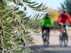 via verde ciclista invierno