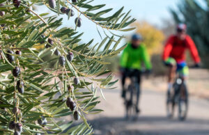 via verde ciclista invierno