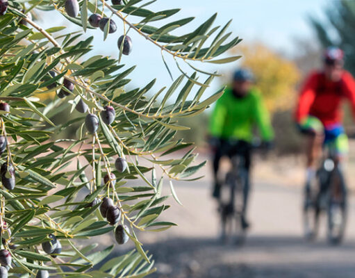 via verde ciclista invierno