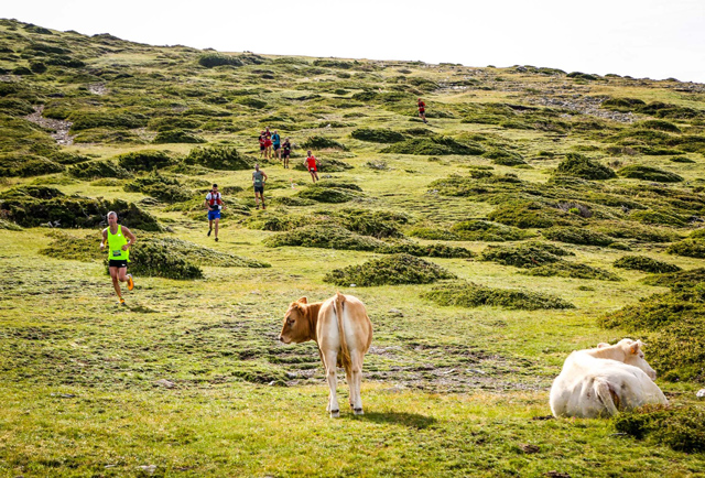 Trail Fonts del Montseny