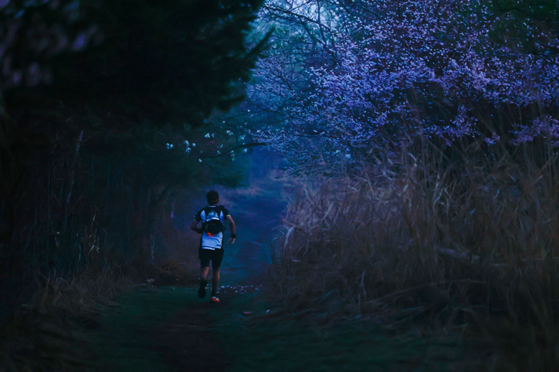trail monte fuji