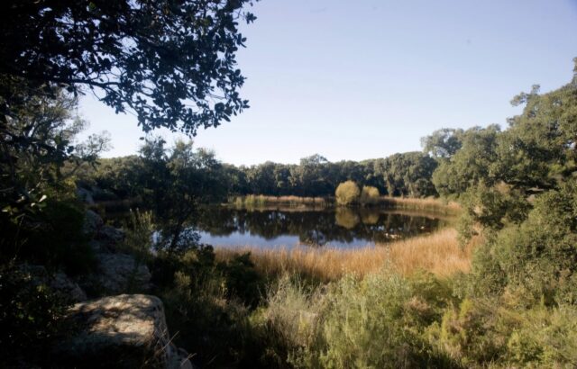 Foto: Turismo de Castellón