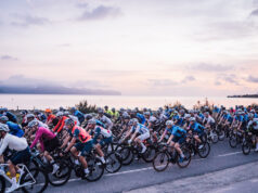 mallorca 312