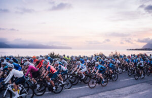 mallorca 312