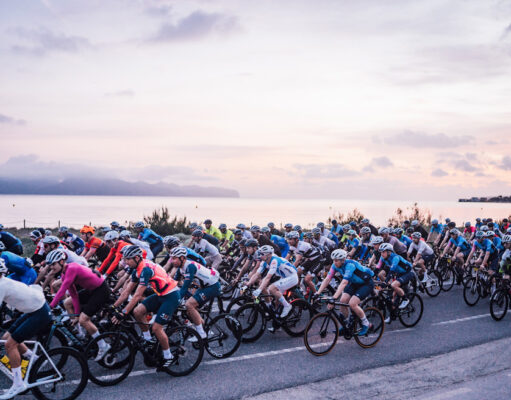 mallorca 312