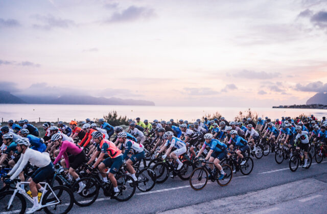mallorca 312