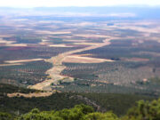 Cañada real