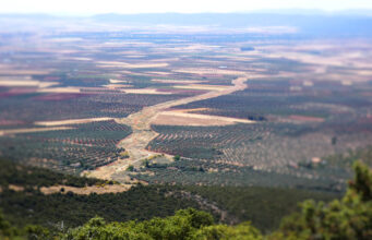 Cañada real