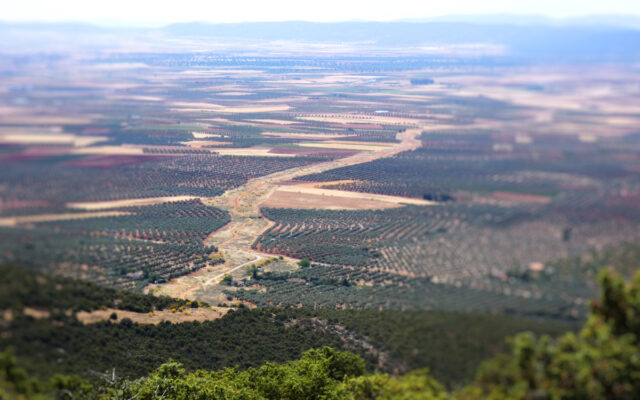 Cañada real