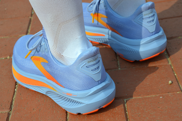 Review Brooks Ghost 17