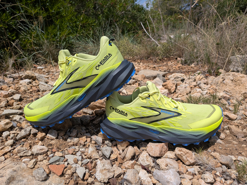 review brooks cascadia 19