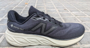 Review New Balance Fresh Foam X 880 v15 GORE-TEX