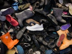 Take Back Box NNormal