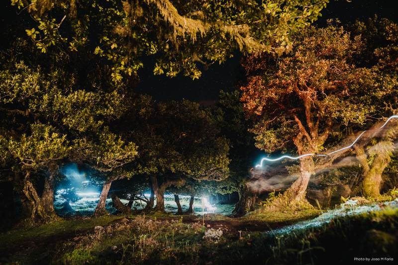 MIUT – Madeira Island Ultra Trail