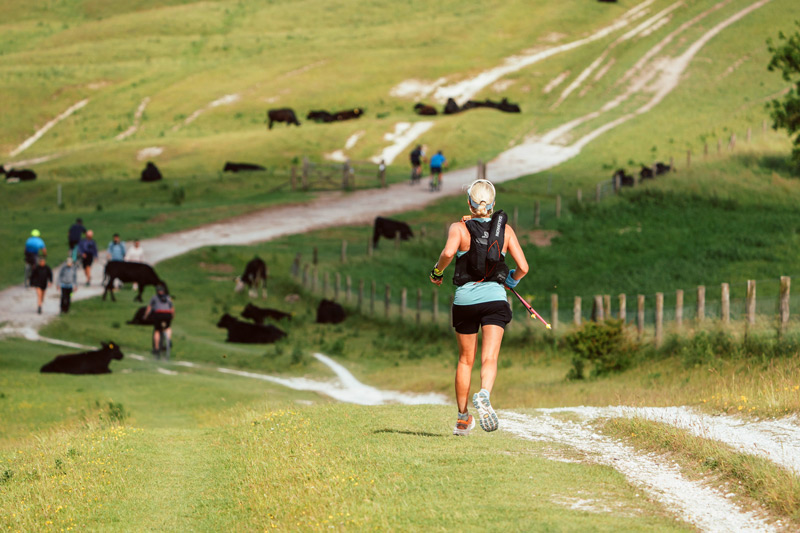 South Downs Way