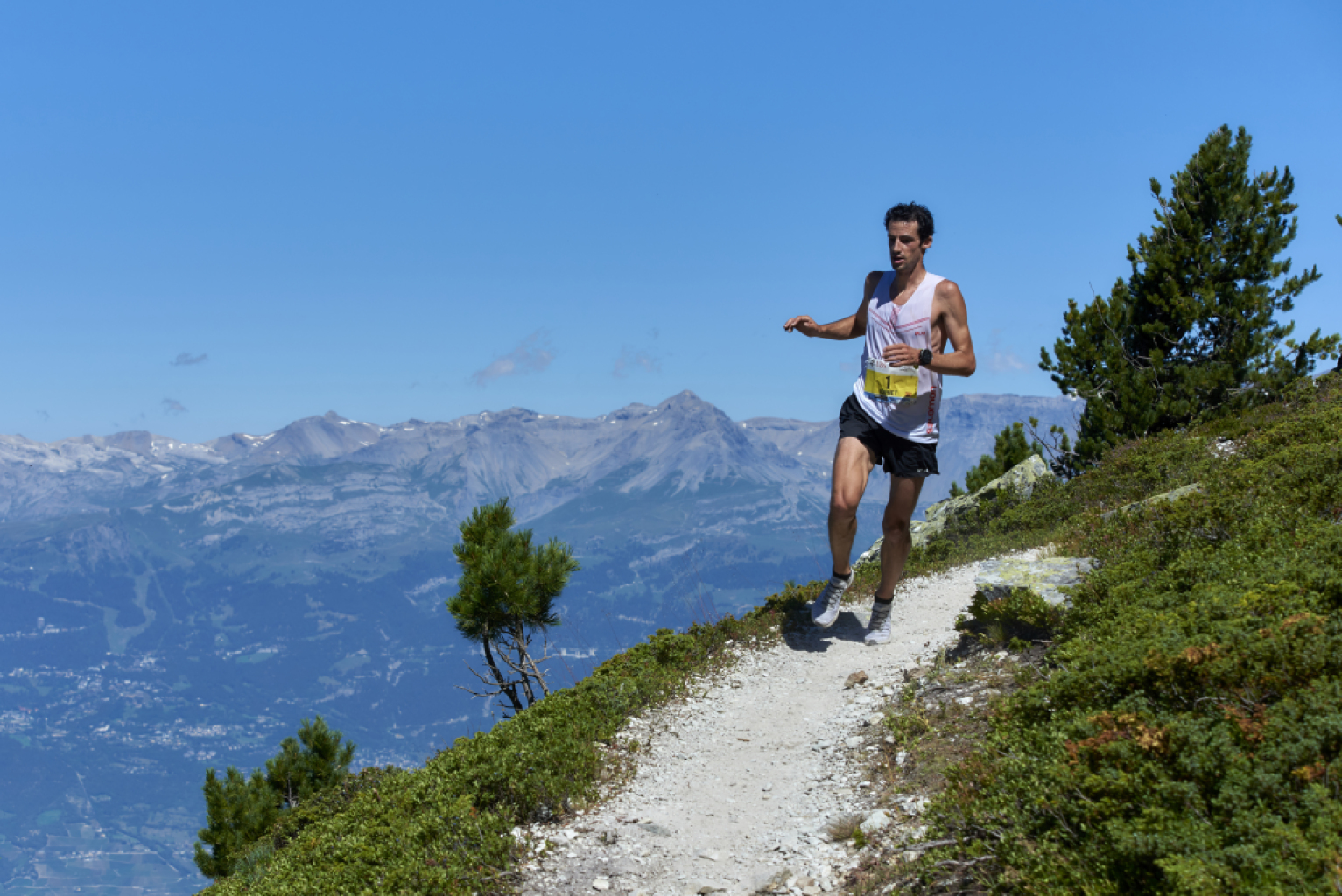 Sierre-Zinal trail running Kilian Jornet