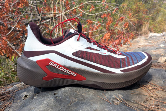 Salomon Genesis 2
