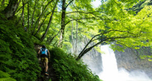 La Golden Trail World Series se adentra en las montañas de un libro de culto en Japón Myoko Trail: la Golden Trail World Series llega a las 100 montañas famosas de Japón