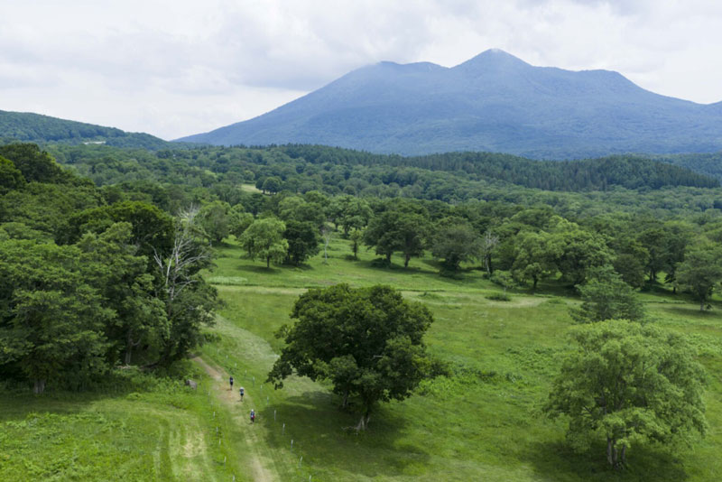 Myoko Trail: la Golden Trail World Series llega a las 100 montañas famosas de Japón