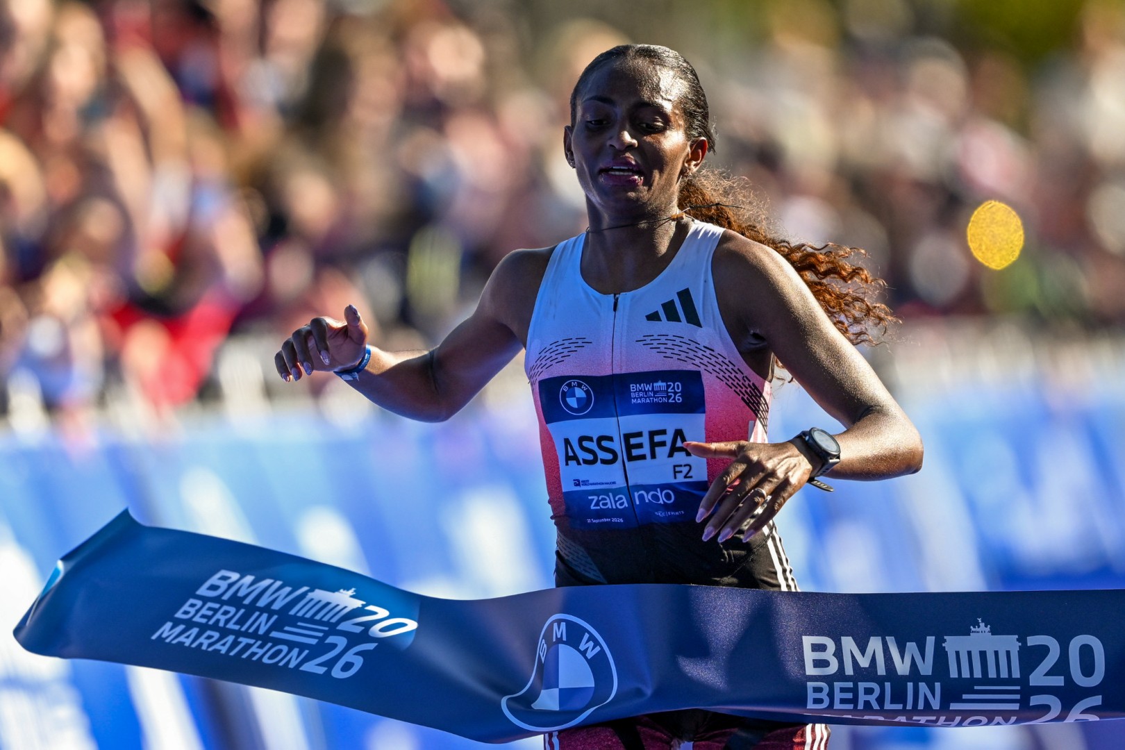 Assefa berlin 2026