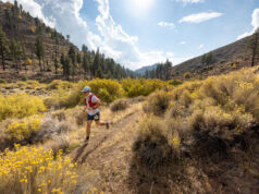 kodiac trail utmb